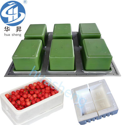 US EPS Aluminium Mould voor koelere vis/fruit/ijs/bijendoos EPS-vormproducten