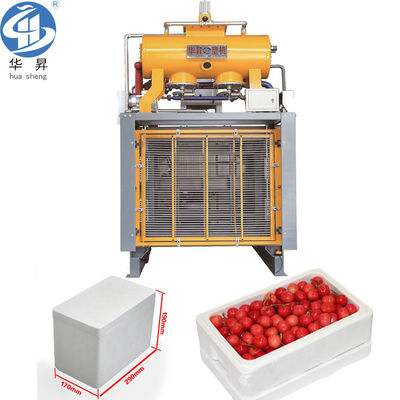 Computerized EPS Styrofoam Vacuum Packing Box Shape Molding Machine met en vacuüm