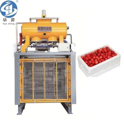 EPS Foam Box Foaming Machine voor verpakkingen Grootte 5500.00cm * 2700.00cm * 3500.00cm en 6000kg