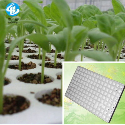 800 kg vaste installatie EPS Sendling Tray Vorm voor polystyreen tray productielijn